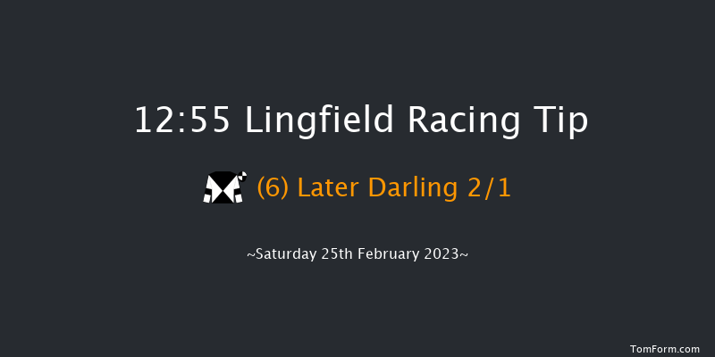 Lingfield 12:55 Handicap (Class 5) 12f Fri 24th Feb 2023