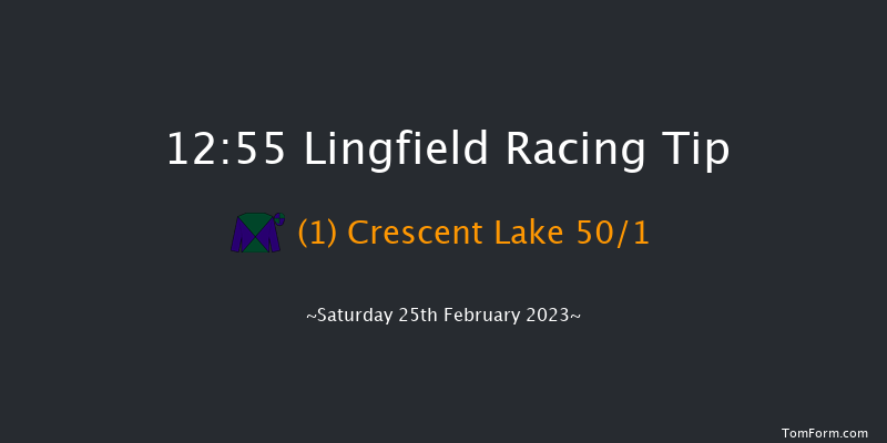 Lingfield 12:55 Handicap (Class 5) 12f Fri 24th Feb 2023