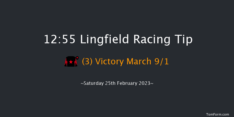 Lingfield 12:55 Handicap (Class 5) 12f Fri 24th Feb 2023