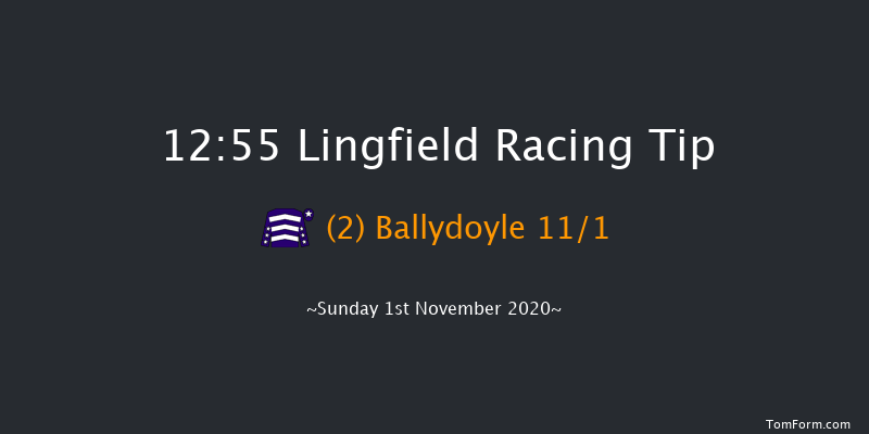 Breeders' Cup On Sky Sports Racing Novices' Hurdle (GBB Race) Lingfield 12:55 Maiden Hurdle (Class 4) 16f Thu 29th Oct 2020