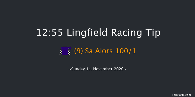 Breeders' Cup On Sky Sports Racing Novices' Hurdle (GBB Race) Lingfield 12:55 Maiden Hurdle (Class 4) 16f Thu 29th Oct 2020