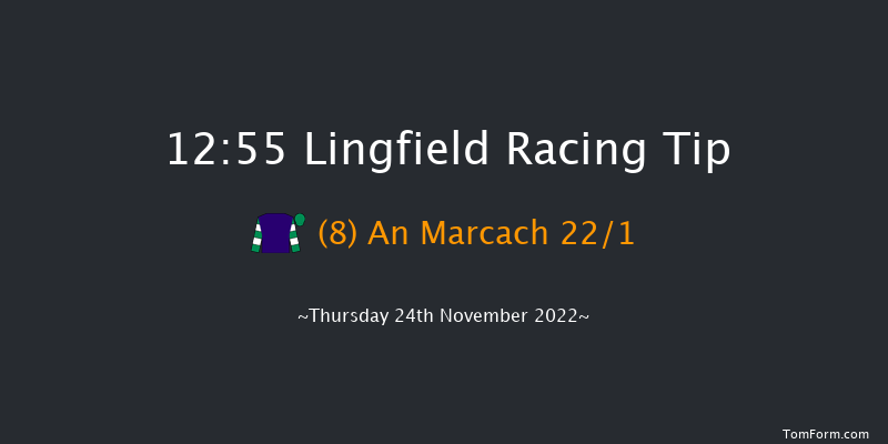 Lingfield 12:55 Handicap Chase (Class 5) 24f Sat 19th Nov 2022