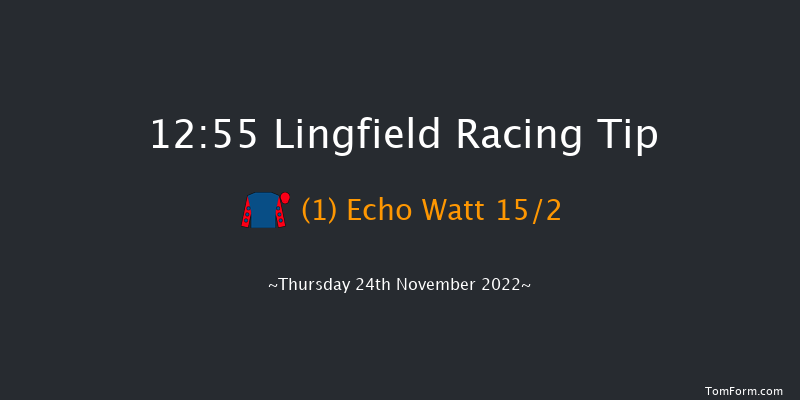 Lingfield 12:55 Handicap Chase (Class 5) 24f Sat 19th Nov 2022