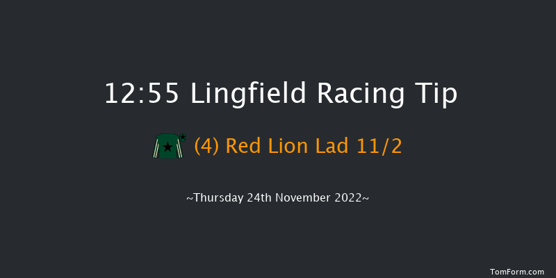Lingfield 12:55 Handicap Chase (Class 5) 24f Sat 19th Nov 2022
