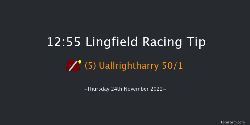 Lingfield 12:55 Handicap Chase (Class 5) 24f Sat 19th Nov 2022