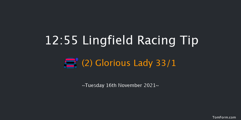 Lingfield 12:55 Handicap Chase (Class 4) 20f Sat 13th Nov 2021