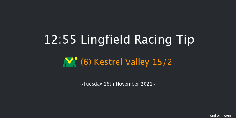 Lingfield 12:55 Handicap Chase (Class 4) 20f Sat 13th Nov 2021