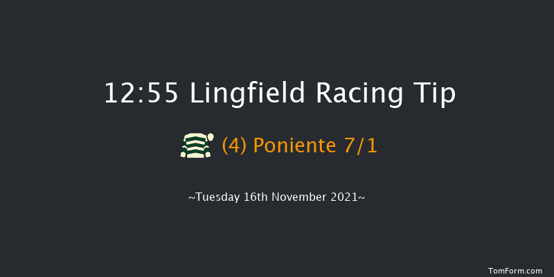 Lingfield 12:55 Handicap Chase (Class 4) 20f Sat 13th Nov 2021