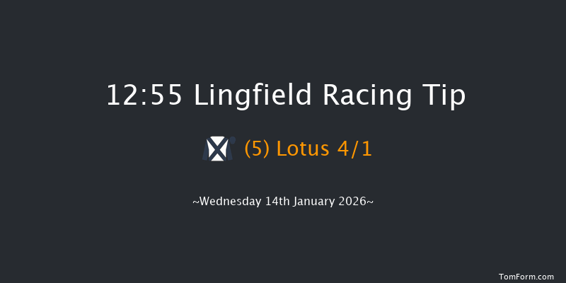 Lingfield 12:55 (Class 4) 7f Mon 12th Jan 2026