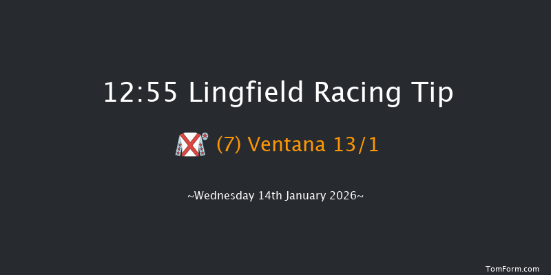 Lingfield 12:55 (Class 4) 7f Mon 12th Jan 2026