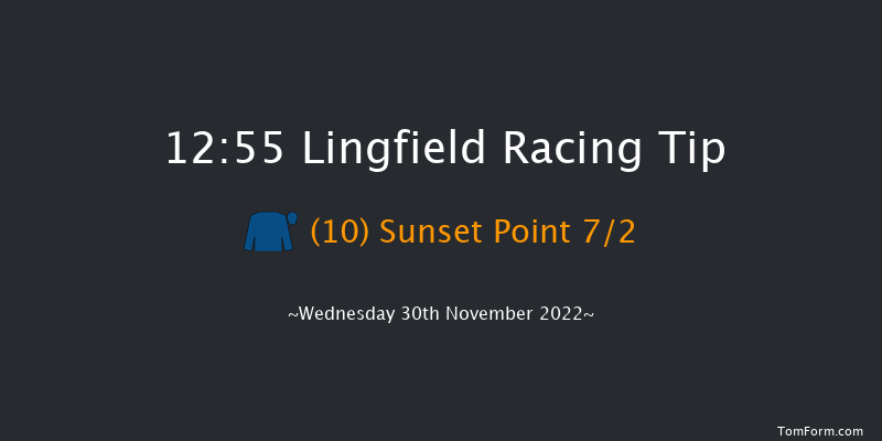 Lingfield 12:55 Stakes (Class 5) 8f Tue 29th Nov 2022