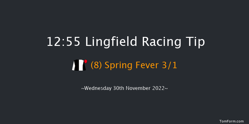 Lingfield 12:55 Stakes (Class 5) 8f Tue 29th Nov 2022