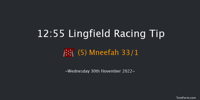 Lingfield 12:55 Stakes (Class 5) 8f Tue 29th Nov 2022