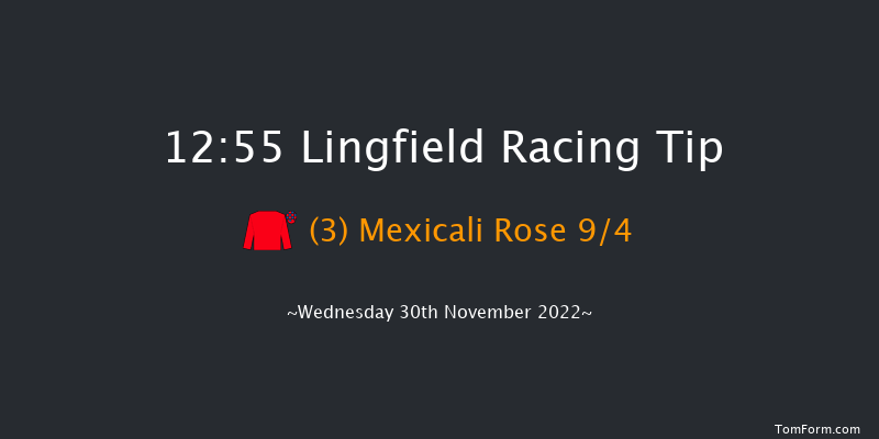 Lingfield 12:55 Stakes (Class 5) 8f Tue 29th Nov 2022