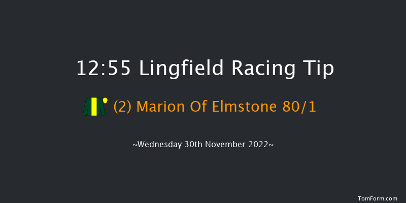 Lingfield 12:55 Stakes (Class 5) 8f Tue 29th Nov 2022
