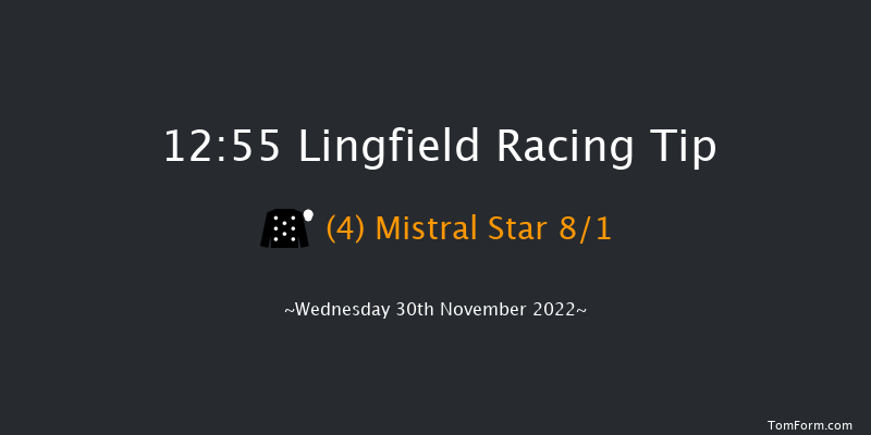 Lingfield 12:55 Stakes (Class 5) 8f Tue 29th Nov 2022