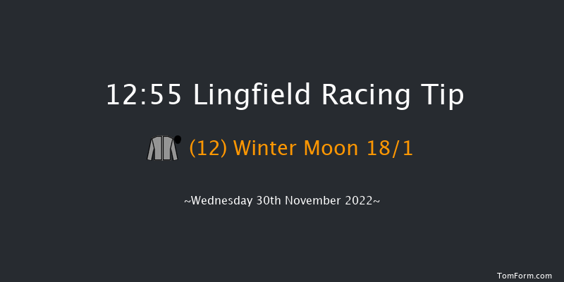 Lingfield 12:55 Stakes (Class 5) 8f Tue 29th Nov 2022