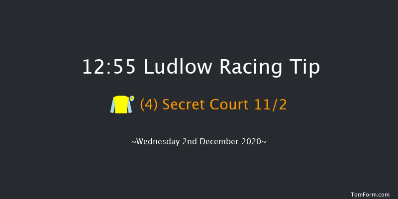 Sir Toby Memorial Novices' Handicap Chase Ludlow 12:55 Handicap Chase (Class 5) 20f Mon 23rd Nov 2020