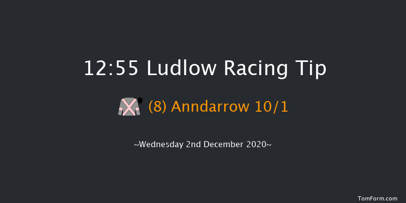 Sir Toby Memorial Novices' Handicap Chase Ludlow 12:55 Handicap Chase (Class 5) 20f Mon 23rd Nov 2020