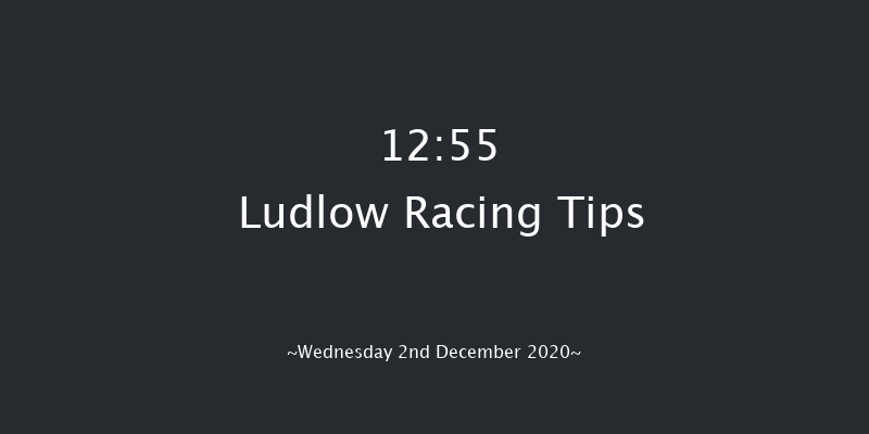 Sir Toby Memorial Novices' Handicap Chase Ludlow 12:55 Handicap Chase (Class 5) 20f Mon 23rd Nov 2020