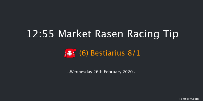 MansionBet Novices' Handicap Chase Market Rasen 12:55 Handicap Chase (Class 4) 19f Tue 4th Feb 2020