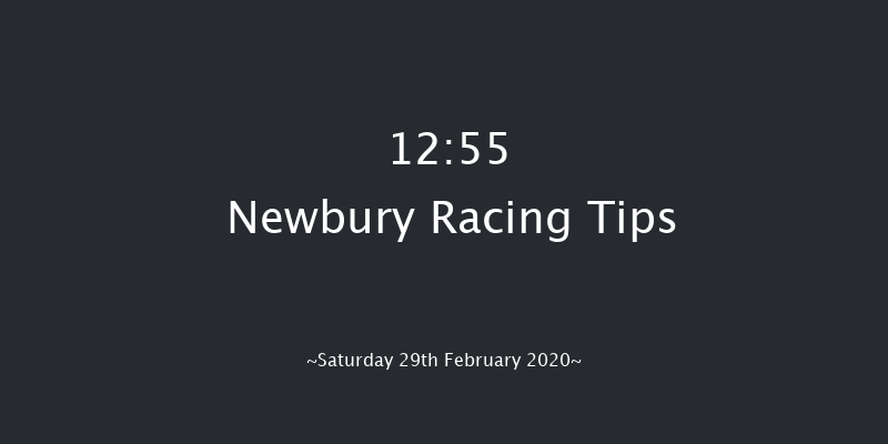 MansionBet Best Odds Guaranteed Novices' Handicap Hurdle (Div 1) Newbury 12:55 Handicap Hurdle (Class 4) 16f Fri 28th Feb 2020