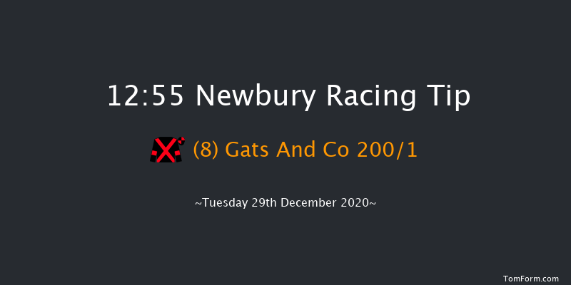 MansionBet App 'Introductory' Hurdle (GBB Race) Newbury 12:55 Conditions Hurdle (Class 4) 16f Wed 16th Dec 2020