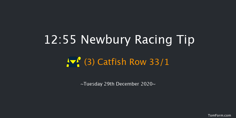 MansionBet App 'Introductory' Hurdle (GBB Race) Newbury 12:55 Conditions Hurdle (Class 4) 16f Wed 16th Dec 2020