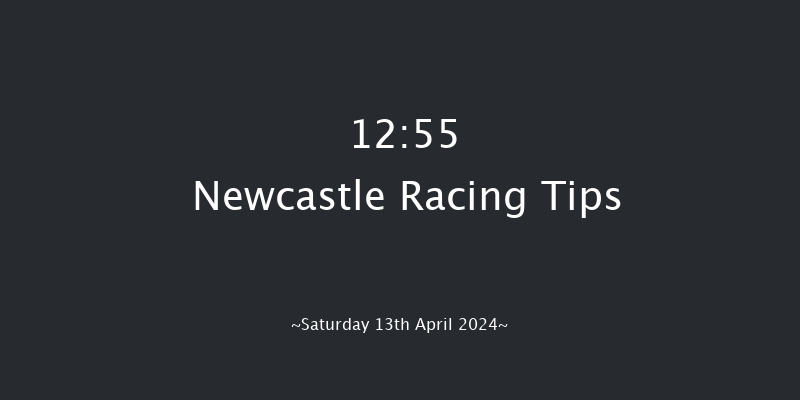 Newcastle  12:55 Handicap Hurdle (Class 5)
24f Mon 8th Apr 2024