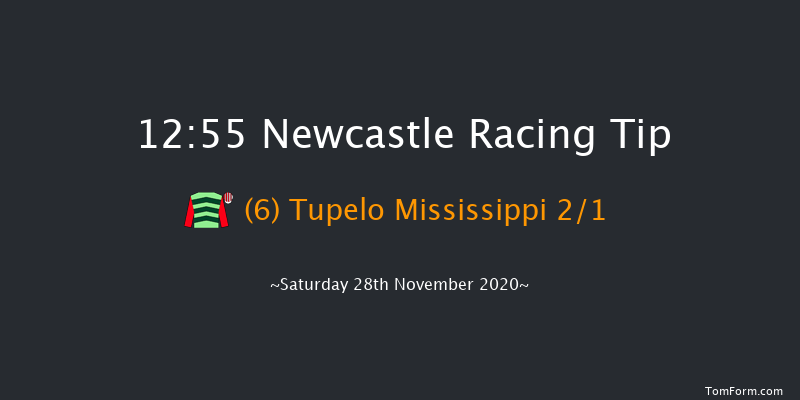 Newcastle Flooring 'The French Furze' Novices' Hurdle (GBB Race) Newcastle 12:55 Maiden Hurdle (Class 2) 22f Fri 20th Nov 2020