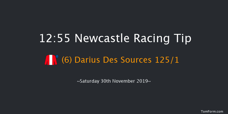 Newcastle 12:55 Maiden Hurdle (Class 2) 22f Fri 22nd Nov 2019
