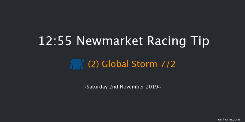 Newmarket 12:55 Handicap (Class 4) 9f Fri 1st Nov 2019
