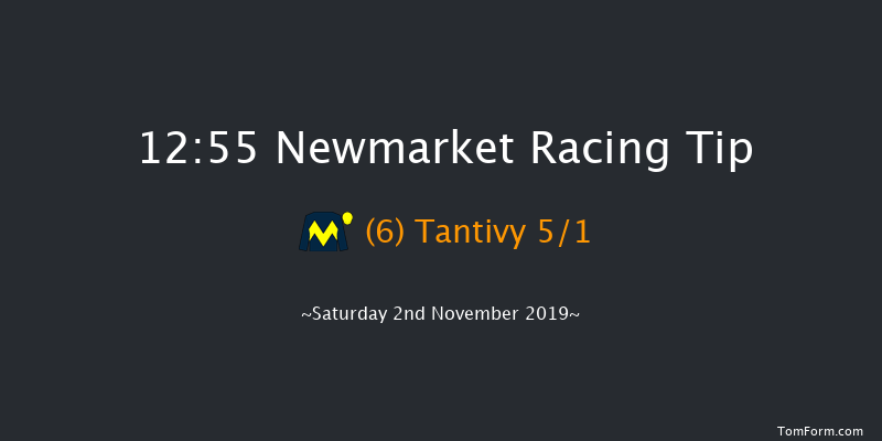 Newmarket 12:55 Handicap (Class 4) 9f Fri 1st Nov 2019