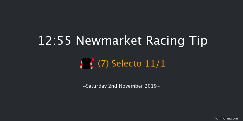 Newmarket 12:55 Handicap (Class 4) 9f Fri 1st Nov 2019