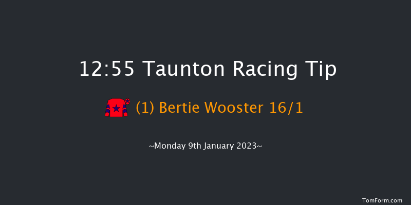 Taunton 12:55 Maiden Hurdle (Class 4) 19f Fri 30th Dec 2022