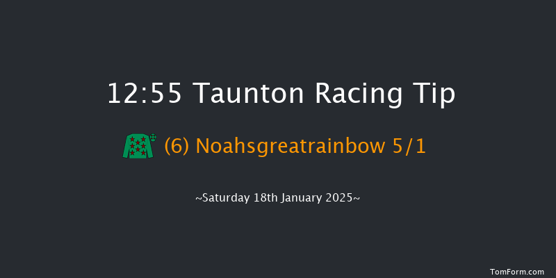 Taunton  12:55 Maiden Hurdle (Class 4) 19f Wed 8th Jan 2025