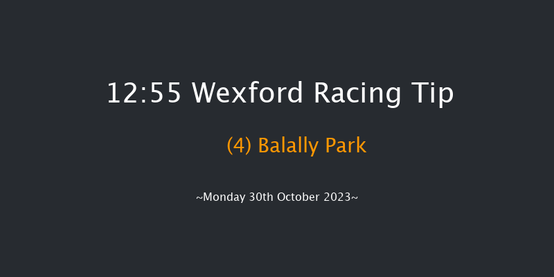 Wexford 12:55 Maiden Hurdle 16f Sun 29th Oct 2023