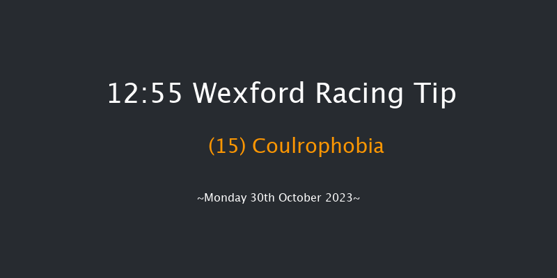 Wexford 12:55 Maiden Hurdle 16f Sun 29th Oct 2023