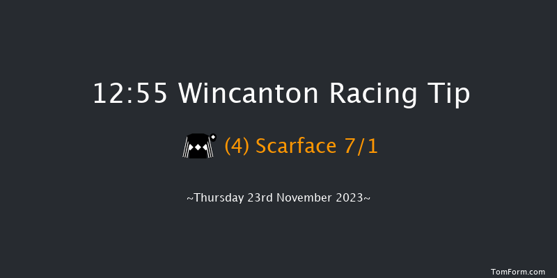 Wincanton 12:55 Handicap Chase (Class 3) 16f Sat 11th Nov 2023