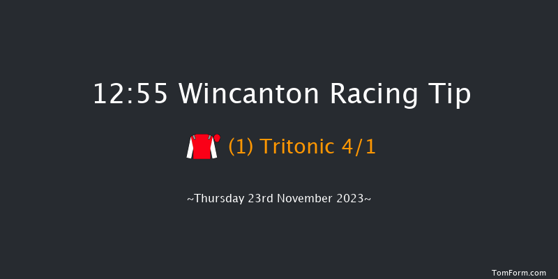 Wincanton 12:55 Handicap Chase (Class 3) 16f Sat 11th Nov 2023