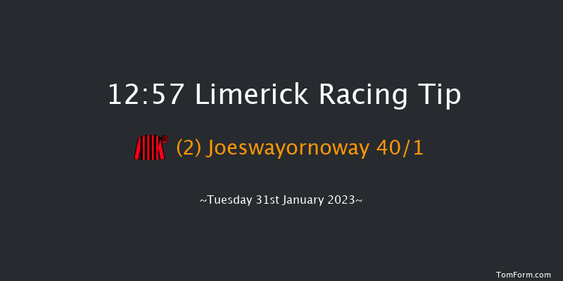 Limerick 12:57 Handicap Hurdle 21f Thu 29th Dec 2022