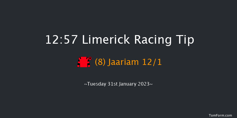 Limerick 12:57 Handicap Hurdle 21f Thu 29th Dec 2022