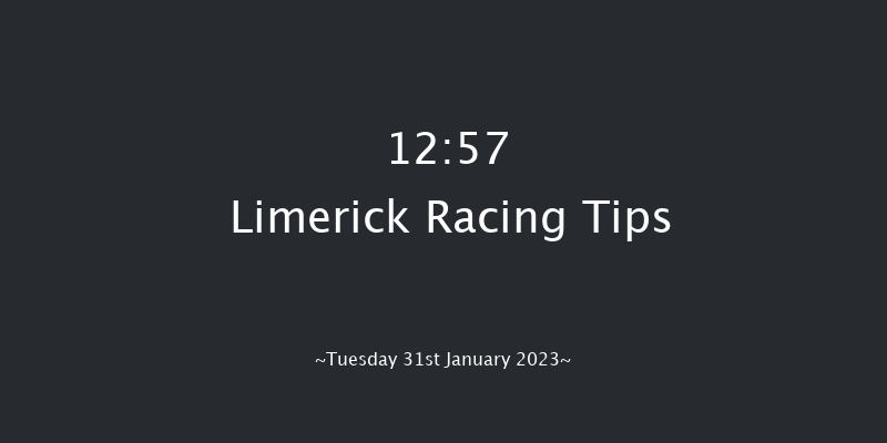 Limerick 12:57 Handicap Hurdle 21f Thu 29th Dec 2022