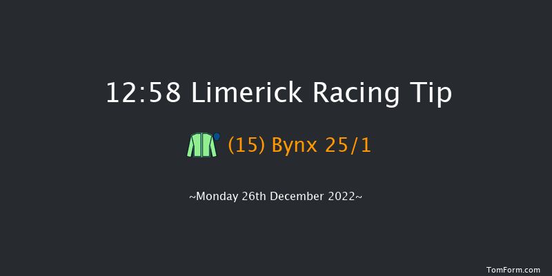 Limerick 12:58 Maiden Hurdle 16f Tue 22nd Nov 2022