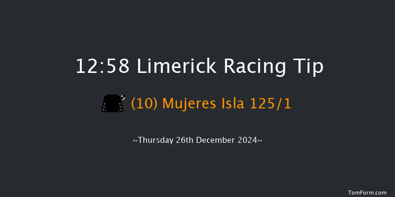 Limerick  12:58 Maiden Hurdle 16f Tue 19th Nov 2024