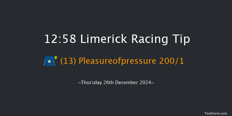 Limerick  12:58 Maiden Hurdle 16f Tue 19th Nov 2024