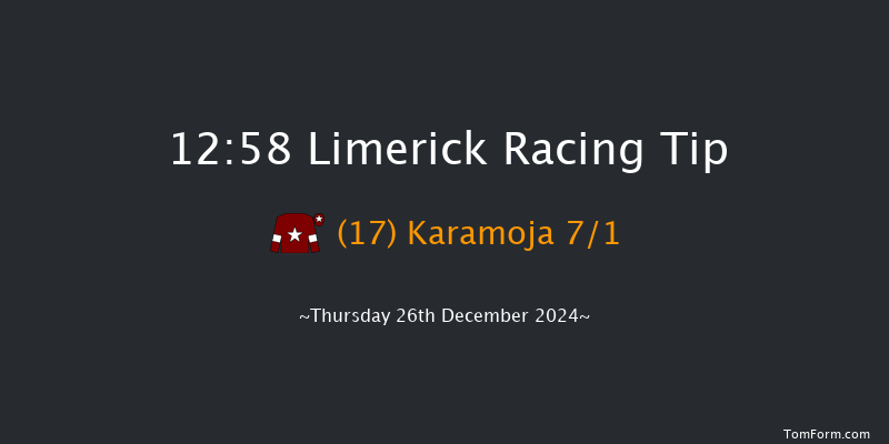 Limerick  12:58 Maiden Hurdle 16f Tue 19th Nov 2024