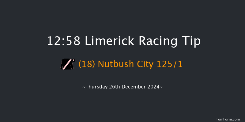 Limerick  12:58 Maiden Hurdle 16f Tue 19th Nov 2024