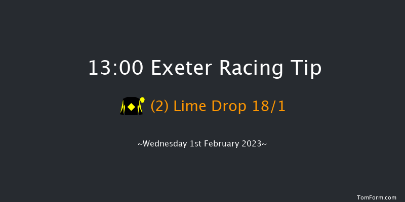 Exeter 13:00 Handicap Hurdle (Class 4) 18f Tue 10th Jan 2023