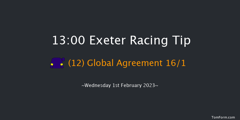 Exeter 13:00 Handicap Hurdle (Class 4) 18f Tue 10th Jan 2023
